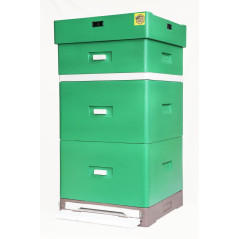 Ul-wielkopolski-10-ramkowy