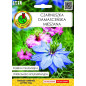 CZARNUSZKA DAMASCEŃSKA MIESZANA 1G CZARNUSZKA DAMASCEŃSKA MIESZANA 1G