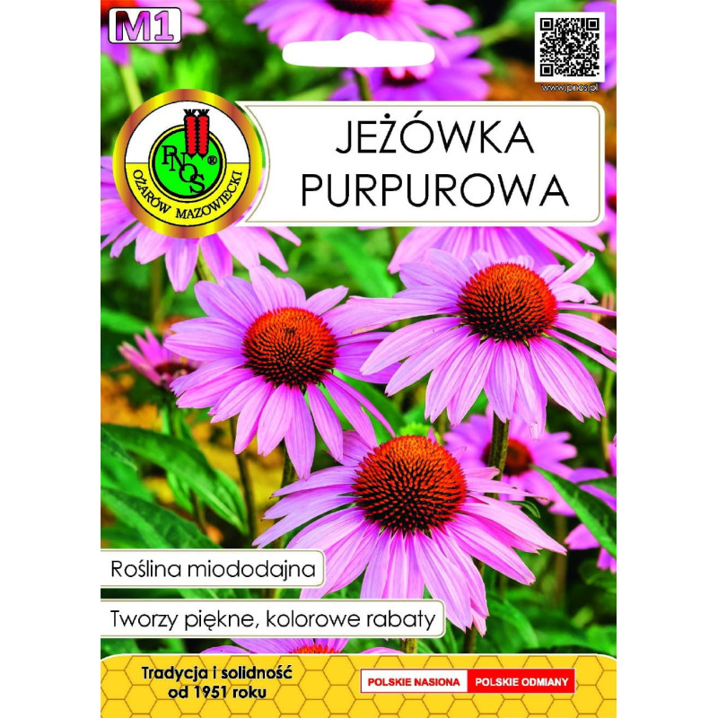 JEŻÓWKA PURPUROWA 1G JEŻÓWKA PURPUROWA 1G