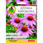 JEŻÓWKA PURPUROWA 1G JEŻÓWKA PURPUROWA 1G