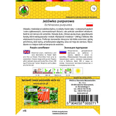 JEŻÓWKA PURPUROWA 1G