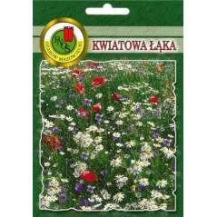 KWIATOWA ŁĄKA 20G