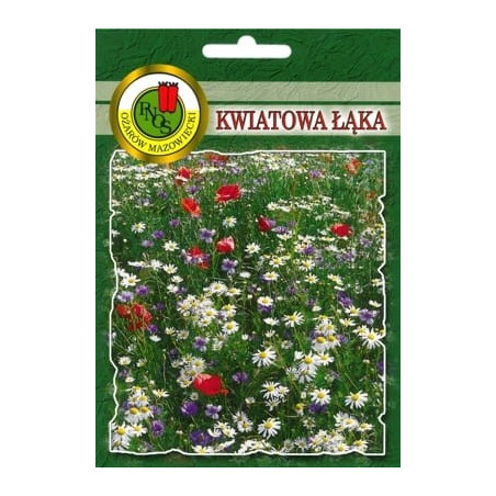 KWIATOWA ŁĄKA 20G