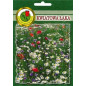 KWIATOWA ŁĄKA 20G KWIATOWA ŁĄKA 20G