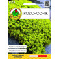 ROZCHODNIK 0,2G ROZCHODNIK 0,2G
