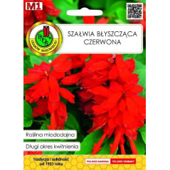 SZAŁWIA BŁYSZCZĄCA CZERWONA 0,5G