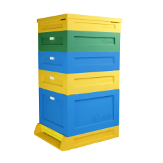 Ul Dadanta 10-ramkowy B12