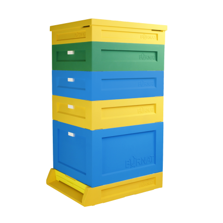 Ul Dadanta 10-ramkowy B12