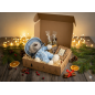 Świąteczny Box Prezentowy z Misiem Pszczelarzem