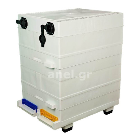 Ul dwa korpusy ANEL z klasyczną ruchomą denicą Langstroth